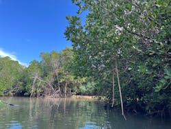 カヌー体験　らぐ～んに投稿された画像（2024/9/9）