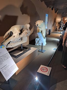 巨大恐竜展2024に投稿された画像（2024/9/9）