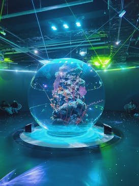 AQUARIUM × ART　atoa×神戸どうぶつ王国に投稿された画像（2024/9/9）