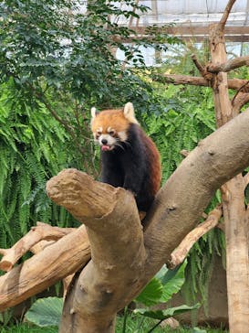 AQUARIUM × ART　atoa×神戸どうぶつ王国に投稿された画像（2024/9/9）