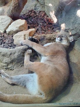 AQUARIUM × ART　atoa×神戸どうぶつ王国に投稿された画像（2024/9/9）