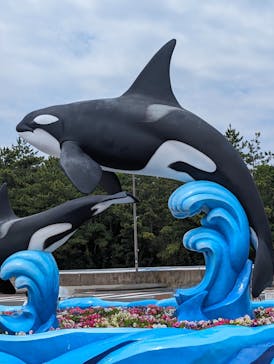 鴨川シーワールドに投稿された画像（2024/9/9）