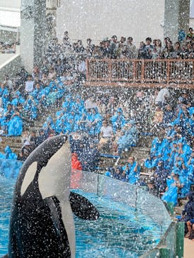 鴨川シーワールドに投稿された画像（2024/9/9）