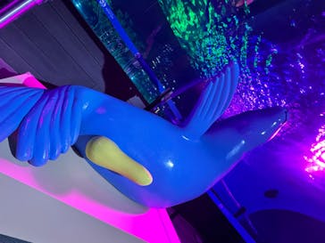 サンシャイン水族館に投稿された画像（2024/9/9）