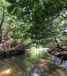 石垣島 ADVENTURE PiPi（イシガキジマアドベンチャーピピ）に投稿された画像（2024/9/9）