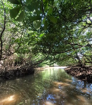 石垣島 ADVENTURE PiPi（イシガキジマアドベンチャーピピ）に投稿された画像（2024/9/9）