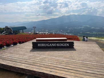 ひるがのピクニックガーデンに投稿された画像（2024/9/9）