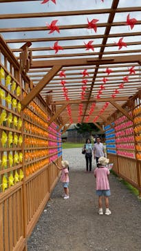 ひるがのピクニックガーデンに投稿された画像（2024/9/9）