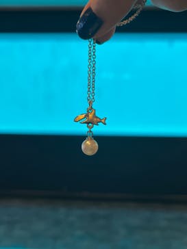 しながわ水族館に投稿された画像（2024/9/9）