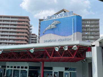しながわ水族館に投稿された画像（2024/9/9）