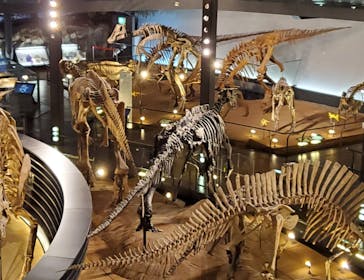 福井県立恐竜博物館に投稿された画像（2024/9/9）