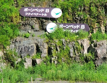 福井県立恐竜博物館に投稿された画像（2024/9/9）