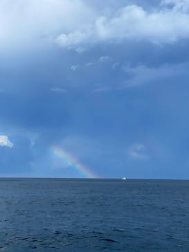 DivingService SUNNY SUNNY（ダイビングサービスサニーサニー）に投稿された画像（2024/9/9）