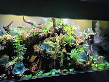 UWS AQUARIUM GA☆KYOに投稿された画像（2024/9/9）