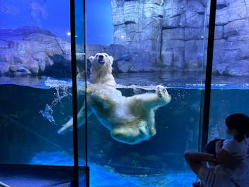 横浜・八景島シーパラダイスに投稿された画像（2024/9/9）