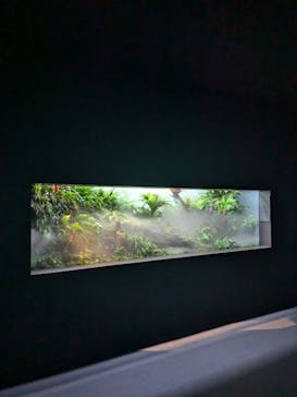 AOAO SAPPOROに投稿された画像（2024/9/9）