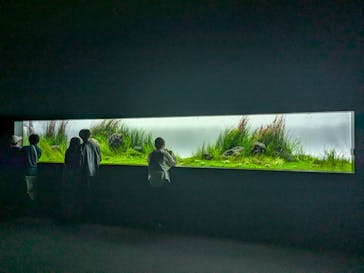 AOAO SAPPOROに投稿された画像（2024/9/9）