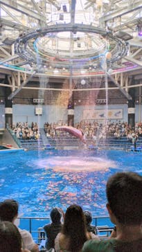 マクセル アクアパーク品川に投稿された画像（2024/9/9）