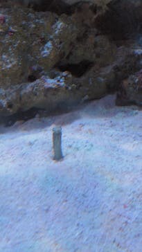 マクセル アクアパーク品川に投稿された画像（2024/9/9）