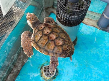 名古屋港水族館に投稿された画像（2024/9/9）