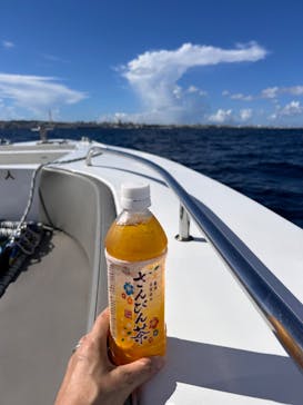 スカイウォーカーに投稿された画像（2024/9/9）