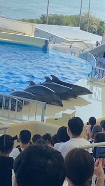 マリンワールド海の中道に投稿された画像（2024/9/9）