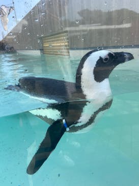 マリンワールド海の中道に投稿された画像（2024/9/9）