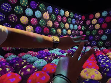 チームラボフォレスト 福岡 - SBI証券に投稿された画像（2024/9/9）