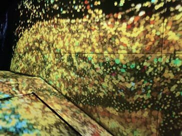 チームラボフォレスト 福岡 - SBI証券に投稿された画像（2024/9/9）