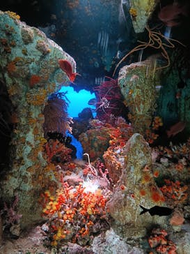 サンシャイン水族館に投稿された画像（2024/9/9）