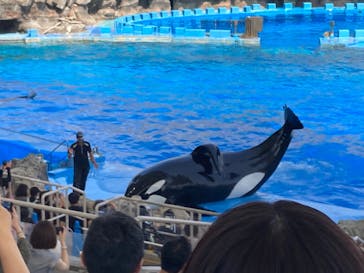 名古屋港水族館に投稿された画像（2024/9/9）