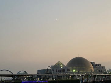 名古屋港水族館に投稿された画像（2024/9/9）