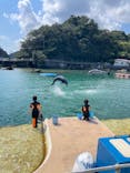下田海中水族館に投稿された画像（2024/9/10）