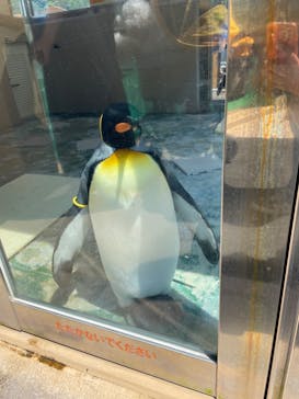 下田海中水族館に投稿された画像（2024/9/10）