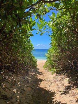 宮古島 ADVENTURE PiPi（ミヤコジマ アドベンチャー ピピ）に投稿された画像（2024/9/10）