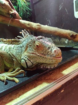 Moff animal cafe イオンモール幕張新都心店に投稿された画像（2024/9/10）