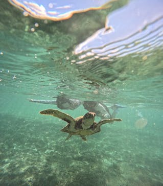 宮古島 ADVENTURE PiPi（ミヤコジマ アドベンチャー ピピ）に投稿された画像（2024/9/10）