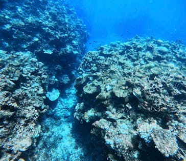  マリンショップHAPPYに投稿された画像（2024/9/10）