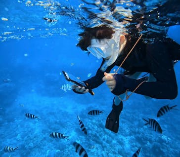  マリンショップHAPPYに投稿された画像（2024/9/10）