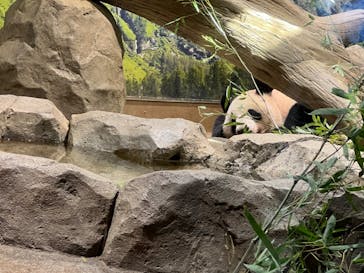 恩賜上野動物園に投稿された画像（2024/9/10）