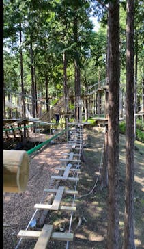 フォレストアドベンチャー・御殿場に投稿された画像（2024/9/10）