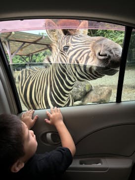 那須サファリパークに投稿された画像（2024/9/10）