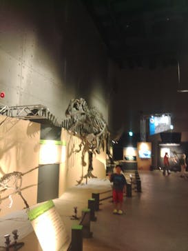 福井県立恐竜博物館に投稿された画像（2024/9/10）