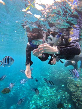 沖縄マリンサービス碧に投稿された画像（2024/9/10）