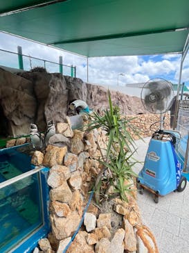 大分マリーンパレス水族館 「うみたまご」に投稿された画像（2024/9/10）