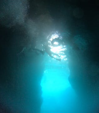 沖縄マリンサービス碧に投稿された画像（2024/9/10）