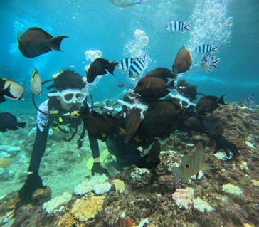 沖縄マリンサービス碧に投稿された画像（2024/9/10）