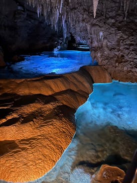 おきなわワールドに投稿された画像（2024/9/10）