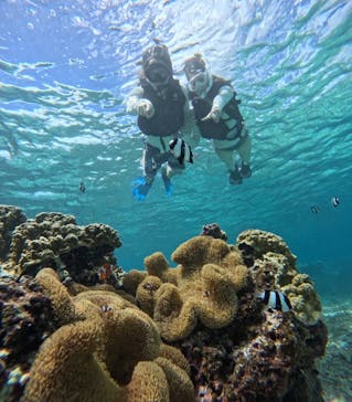 宮古島 ADVENTURE PiPi（ミヤコジマ アドベンチャー ピピ）に投稿された画像（2024/9/10）