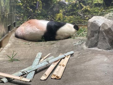 恩賜上野動物園に投稿された画像（2024/9/10）